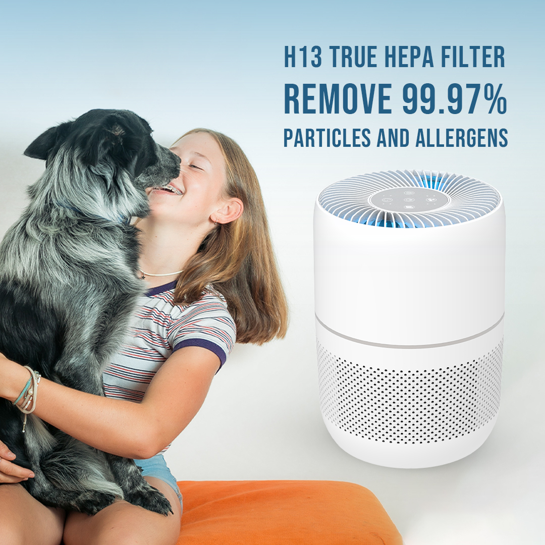 Pulvis sensorem WiFi Air Purifier