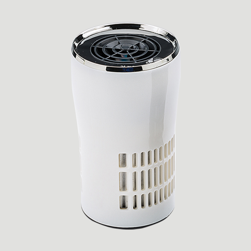 Anion Car Aeris Purifier