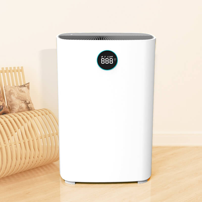 OEM Family Series Aeris Purifier Factory